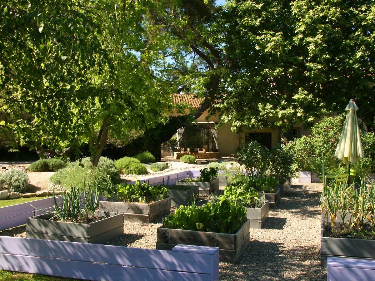 Couleur Lavande Le Thor Bed & Breakfast
